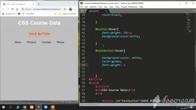 CSS Course For Beginners – Screenshot 1