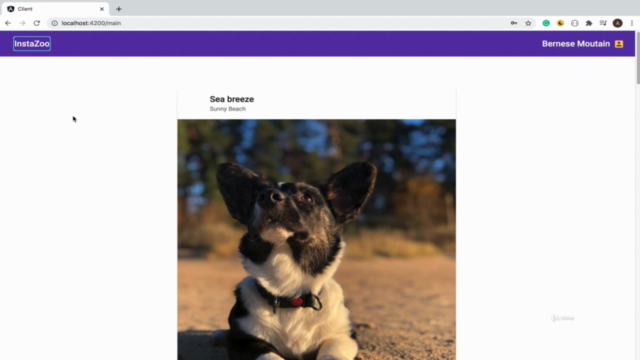 Full-Stack разработка веб приложений с Java Spring и Angular – Screenshot 1