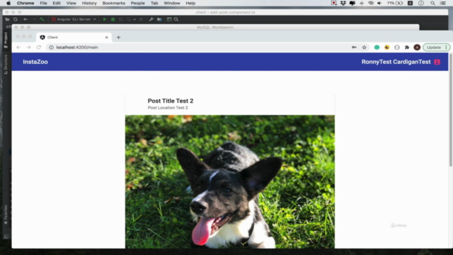 Full-Stack разработка веб приложений с Java Spring и Angular – Screenshot 3