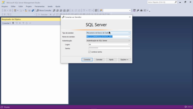 Aprenda a Desenvolver Querys em SQL no SQL Server – Screenshot 2