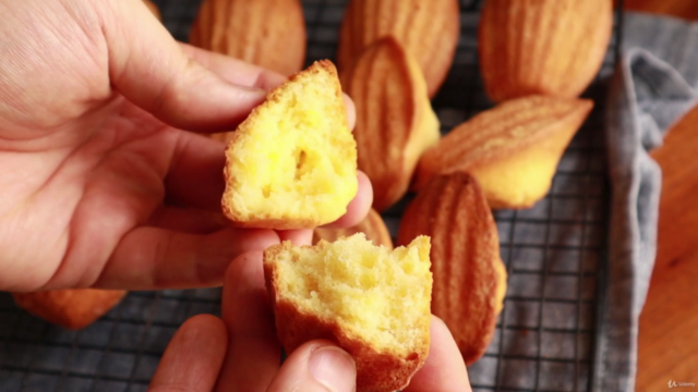 Fundamentals of French Pastry- Madeleine, Custards and Cakes – Screenshot 3