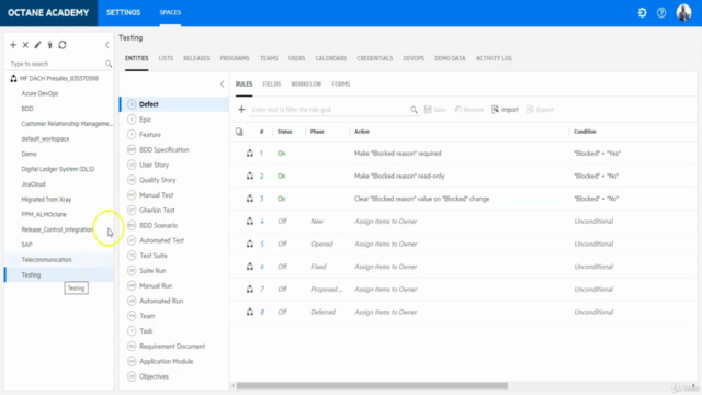 ALM Octane - The Basics of Business Rules Customization – Screenshot 2