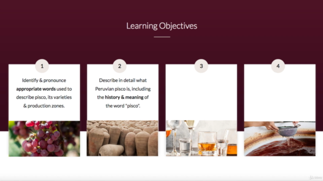 Pisco Certificate Course-Become an Expert in Peruvian Pisco – Screenshot 2