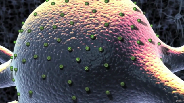 Conscious Meditation For Beginners | Experiential Learning – Screenshot 3