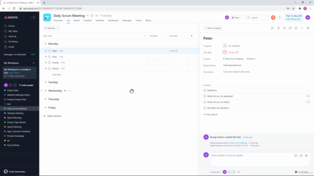 Asana - Project Management - Intermediate to Advanced – Screenshot 4