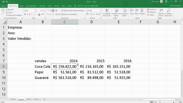 Excel básico – Screenshot 2
