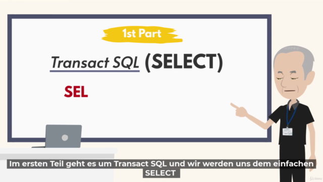 SQL Server: Der Masterclass-Kurs 2022 (27 Stunden) – Screenshot 2