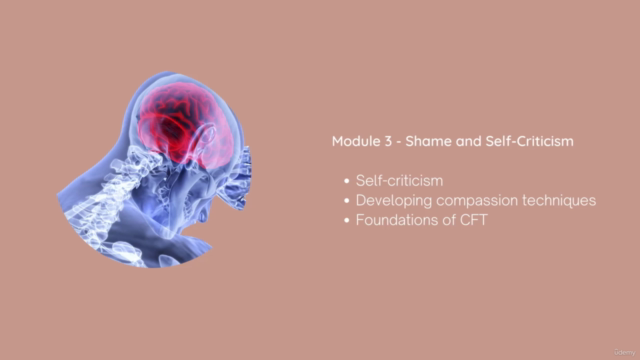 Compassionate Mind Coach Diploma (Fully Accredited) – Screenshot 3