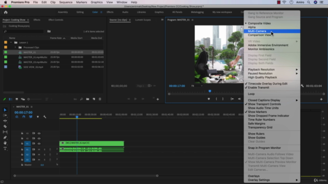Adobe Premiere Pro 2021: Video Editing MasterClass – Screenshot 2