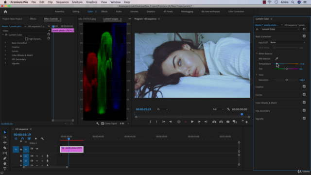 Adobe Premiere Pro 2021: Video Editing MasterClass – Screenshot 3