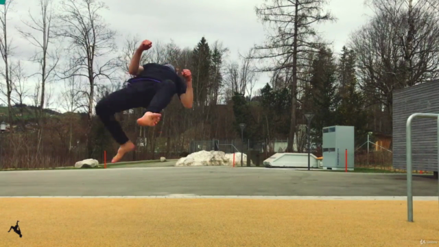 Pro Kicks — Learn Jump Spin Kicks For Martial Arts Tricking – Screenshot 1