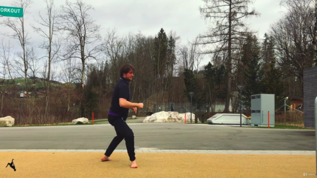 Pro Kicks — Learn Jump Spin Kicks For Martial Arts Tricking – Screenshot 3