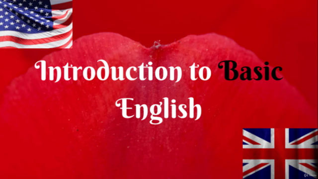 Introduction To Basic English Course – Screenshot 4