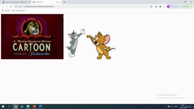 Curs Javascript-de la începător la avansat – Screenshot 4