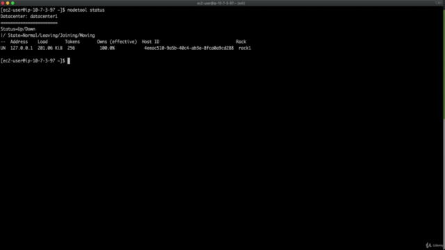 Apache Cassandra v3 NoSQL. Data backup with Python3, AWS S3. – Screenshot 2