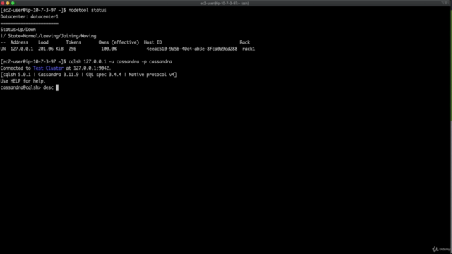Apache Cassandra v3 NoSQL. Data backup with Python3, AWS S3. – Screenshot 3