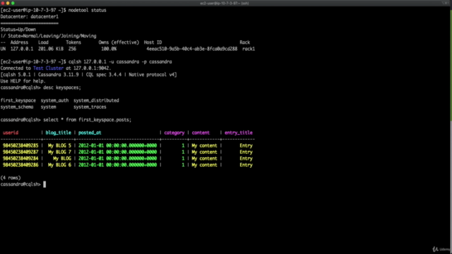 Apache Cassandra v3 NoSQL. Data backup with Python3, AWS S3. – Screenshot 4