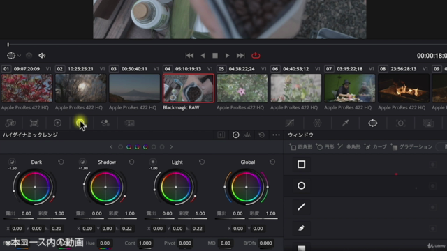 DaVinci Resolve はじめてのカラーコレクション&カラーグレーディング オンライン講座 – Screenshot 4