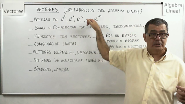 Vectores (los ladrillos del Álgebra Lineal) – Screenshot 1