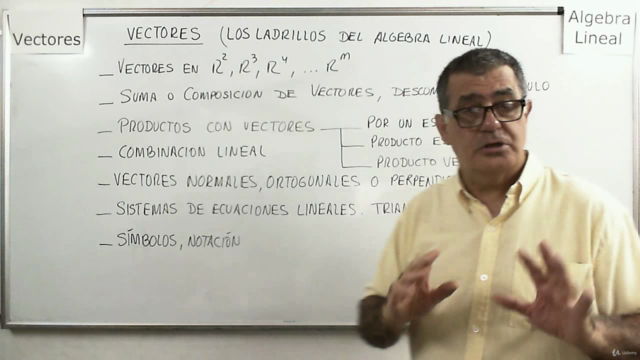 Vectores (los ladrillos del Álgebra Lineal) – Screenshot 2