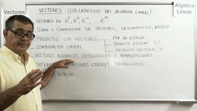 Vectores (los ladrillos del Álgebra Lineal) – Screenshot 3