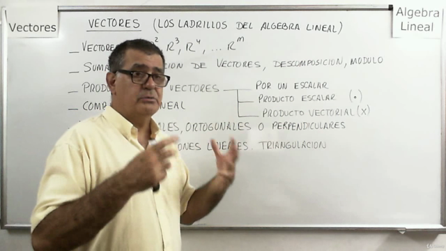 Vectores (los ladrillos del Álgebra Lineal) – Screenshot 4