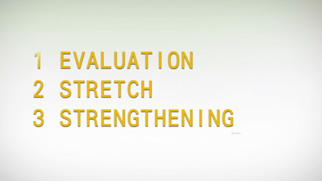 New Approach to Muscular Low Back Pain – Screenshot 3