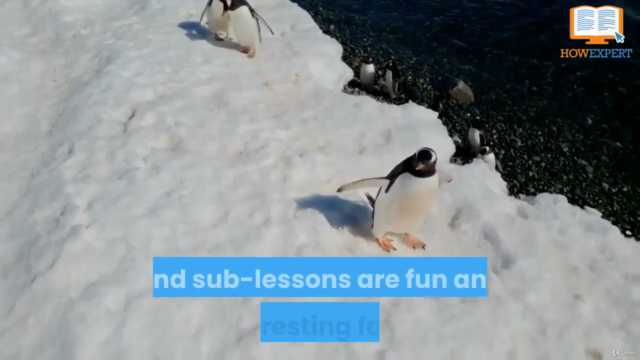 HowExpert Guide to Penguins – Screenshot 1