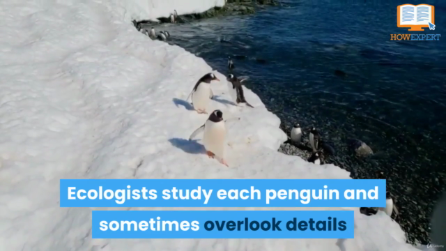 HowExpert Guide to Penguins – Screenshot 4