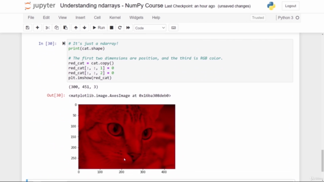 Master Scientific Computing in Python with NumPy – Screenshot 3