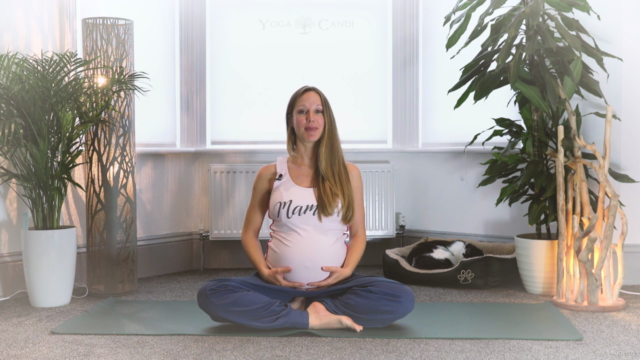 Pregnancy Yoga Mindfulness Course – Screenshot 1