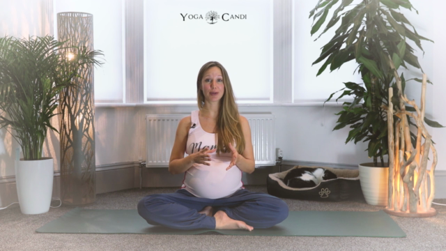 Pregnancy Yoga Mindfulness Course – Screenshot 2