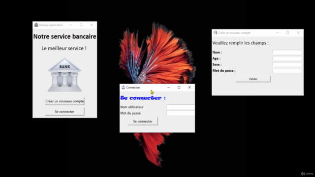 Créez votre GUI application en utilisant Tkinter et Python – Screenshot 4