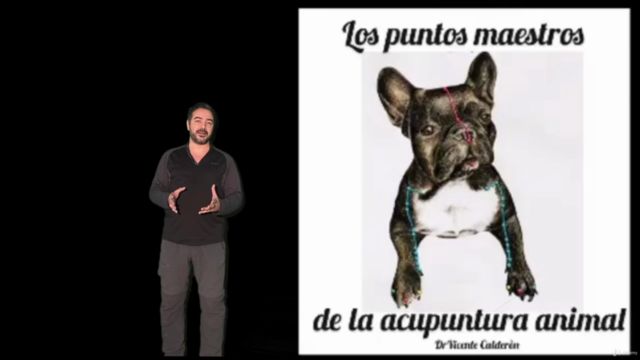 ACUPUNTURA Y MASAJE EN VETERINARIA: Los puntos maestros – Screenshot 1