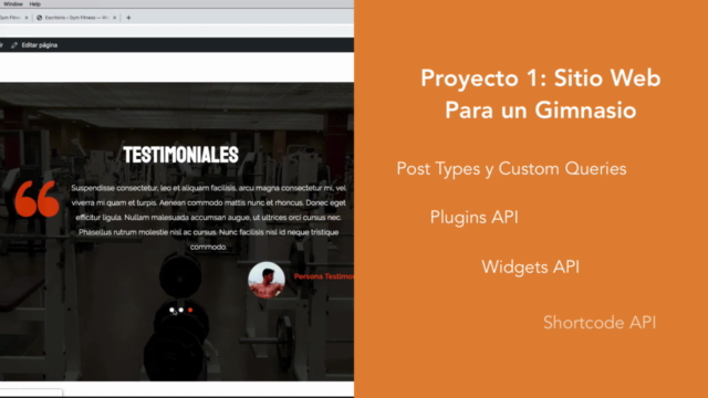 Desarrollo Profesional de Temas y Plugins de WordPress - Screenshot_01