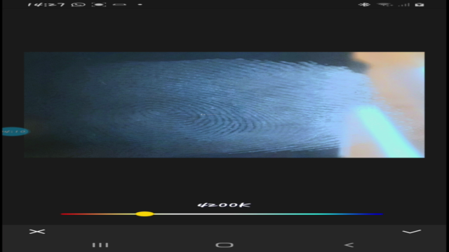 Papiloscopia Básica – Screenshot 3