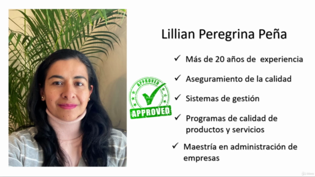ISO 9001:2015 Principios y fundamentos – Screenshot 1