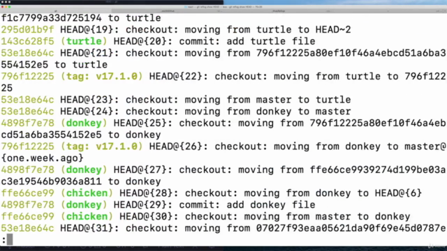 The Git & Github Bootcamp – Screenshot 3
