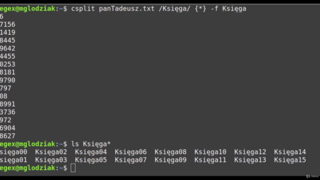 GREP & REGEX - wyrażenia regularne - od zera do mastera – Screenshot 2