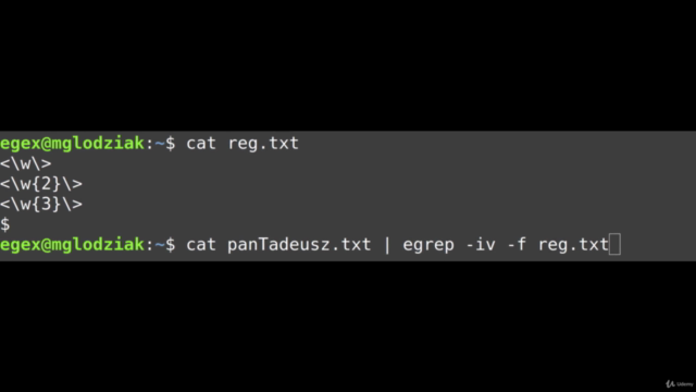 GREP & REGEX - wyrażenia regularne - od zera do mastera – Screenshot 3