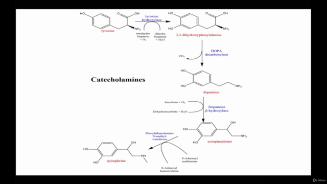 ChemDraw Professional Masterclass – Screenshot 1