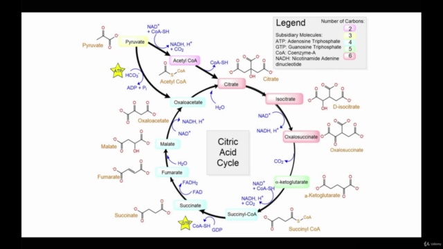 ChemDraw Professional Masterclass – Screenshot 3