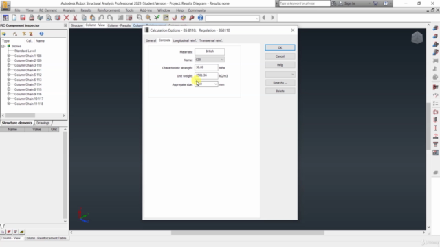 Autodesk Revit & Robot Structural Analysis – Screenshot 3