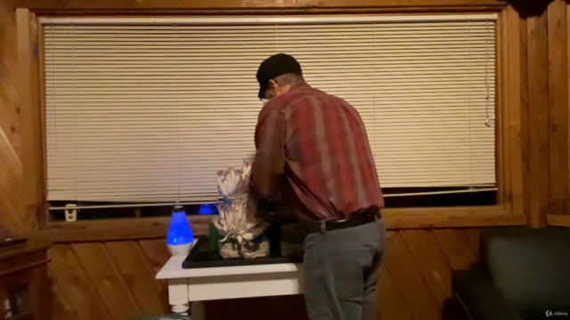 Tabletop Mushroom Growing At Home Indoors – Screenshot 4