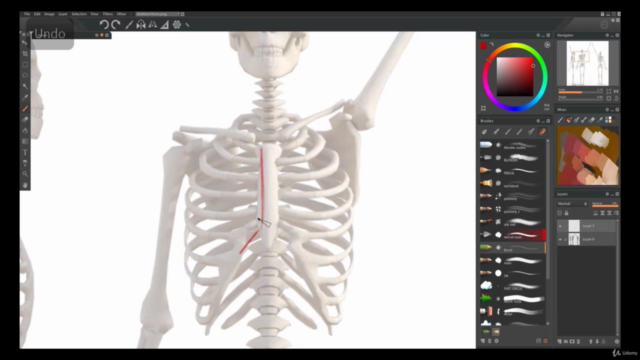 Anatomy 2.0 Draw the Figure From Imagination – Screenshot 2