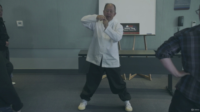 Tai Chi Theory with Master Yang, Jwing-Ming: Live YMAA Class – Screenshot 3
