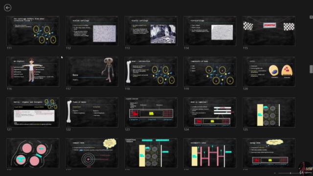Human Histology for Medical students | 6 hours | 33 videos – Screenshot 2