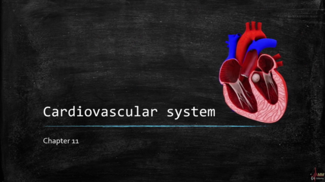 Human Histology for Medical students | 6 hours | 33 videos – Screenshot 4
