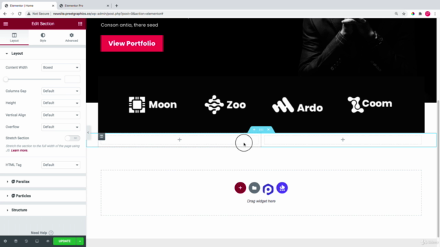WordPress Elementor 2021 - Beginner to Pro MasterClass – Screenshot 2