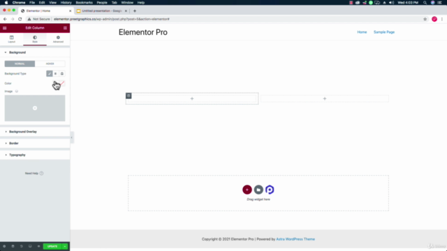 WordPress Elementor 2021 - Beginner to Pro MasterClass – Screenshot 3